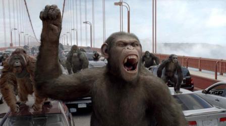 Apes